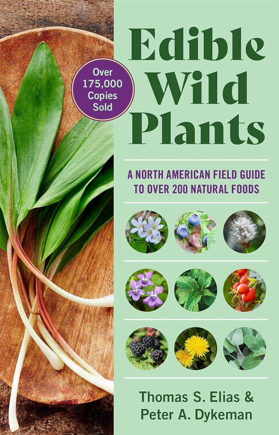 Edible Wild Plants: Surprising Nutrition Versus Fast Food?