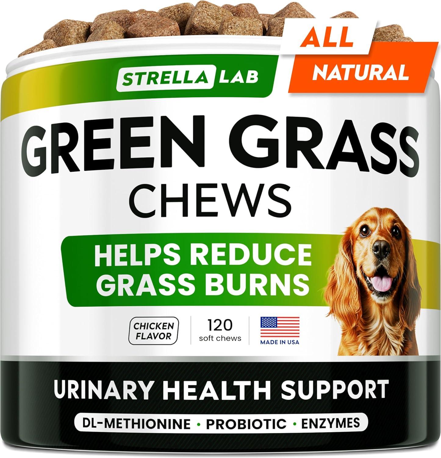 Dog Pee Grass Helpers vs. Weed Killers: A Surprising Remedy Showdown