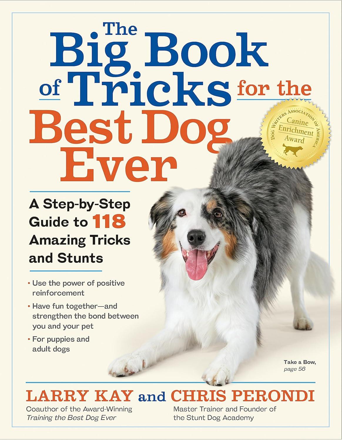 Pets Versus People: A Surprising Showdown on Dog Gear