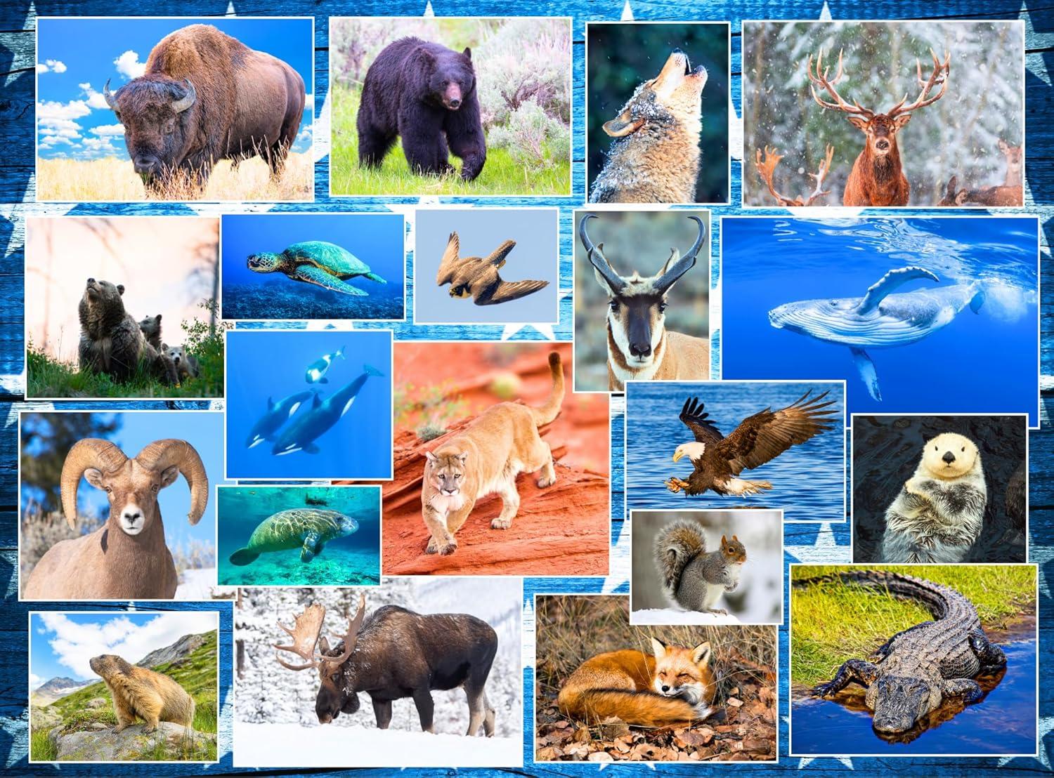 Wildlife Puzzles: A Surprising Showdown of Nature Scenes