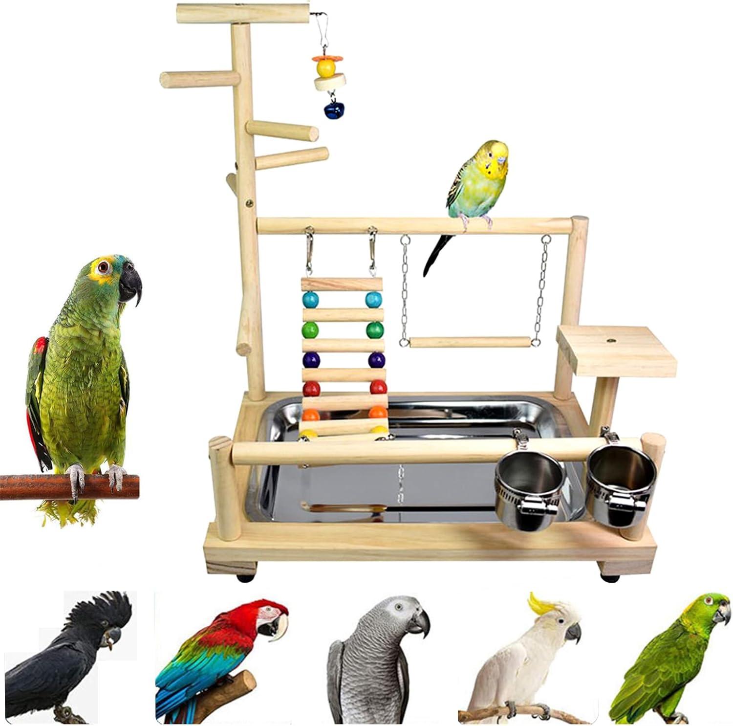 Bird Playgrounds Showdown: Which One Boosts Your Avian Gym?