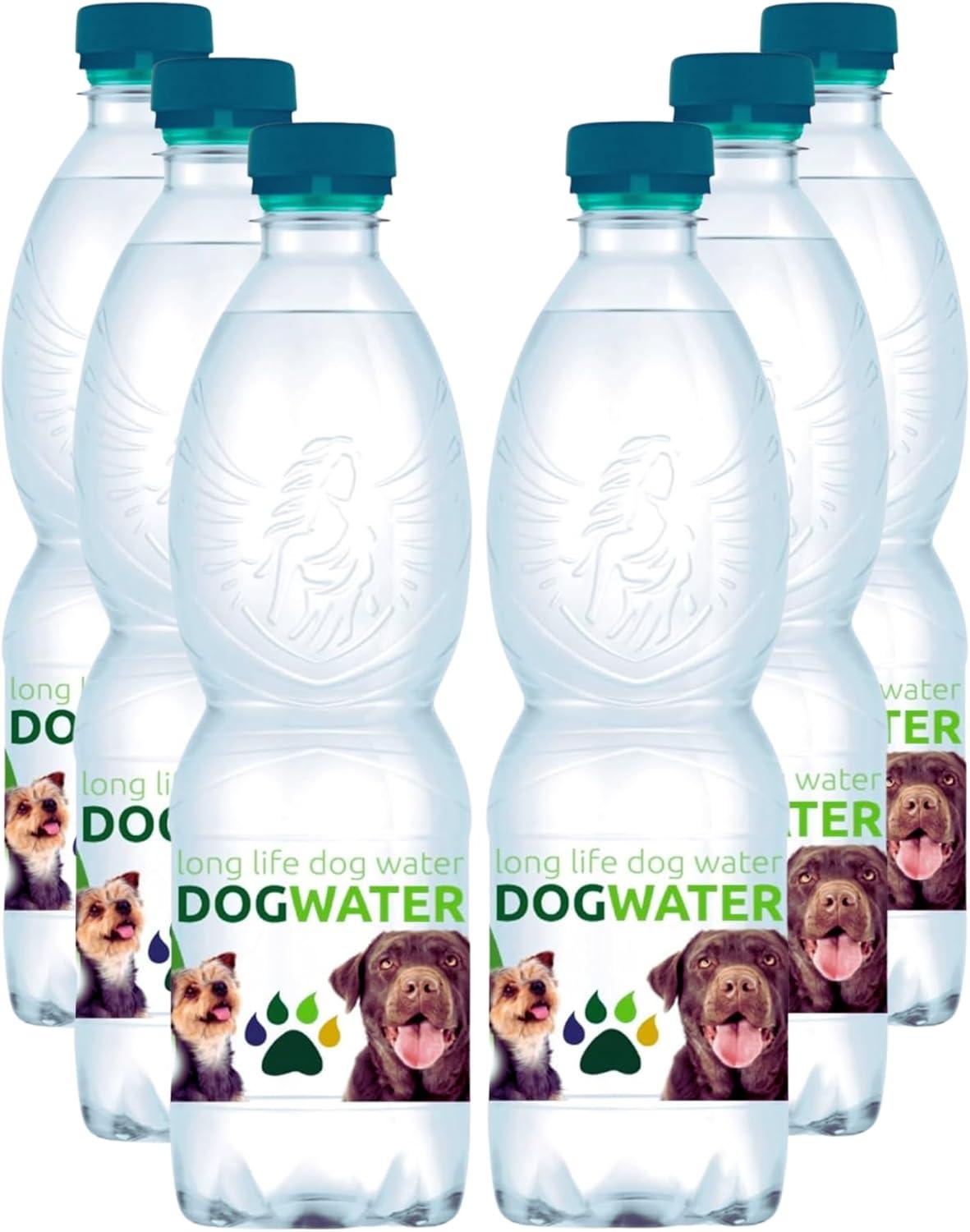 Hydration Showdown: Soothing Fountains vs. Dog Water Packs
