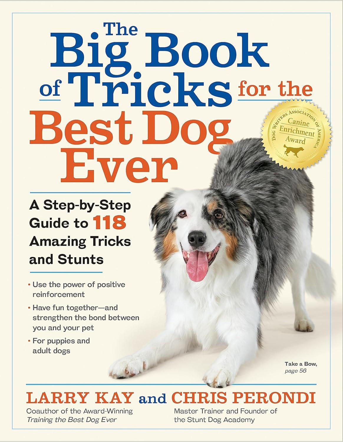 Feeding, Grooming, and Walking: The Surprising Dog Gear Showdown