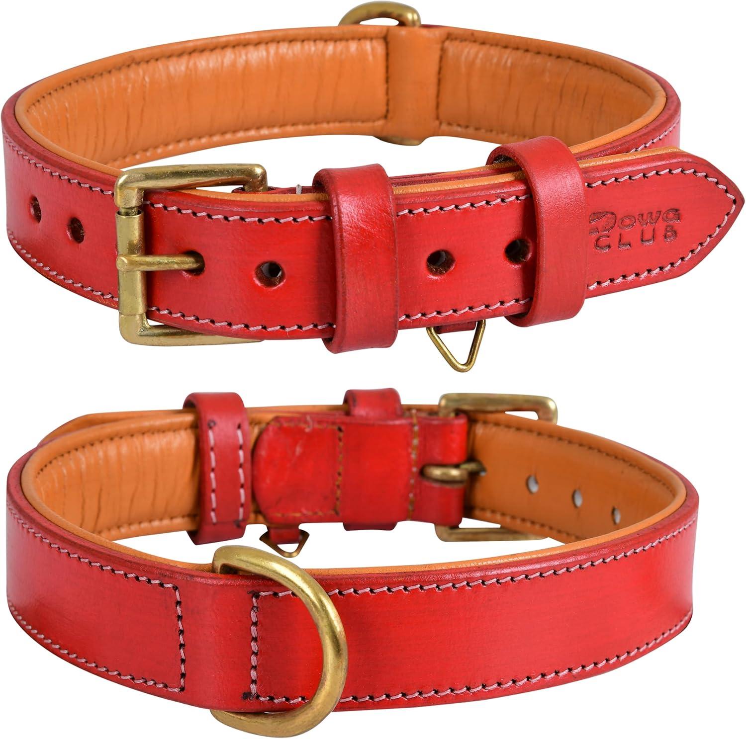 Trail Socks vs. Stylish Dog Collars: Surprising Comfort Showdown