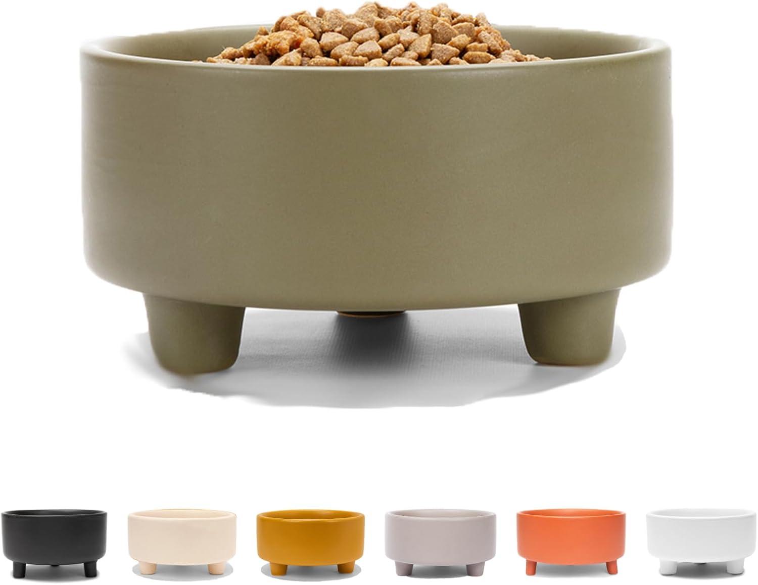 Dog Bowls Showdown: Elevated Feeding Styles Revealed!