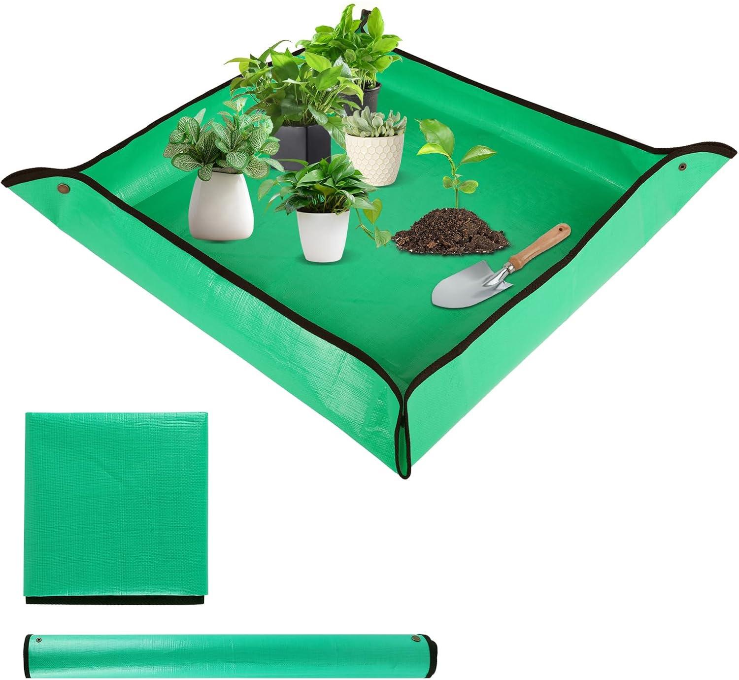 From Potting Mats to Colorful Cacti: A Surprising Plant Showdown