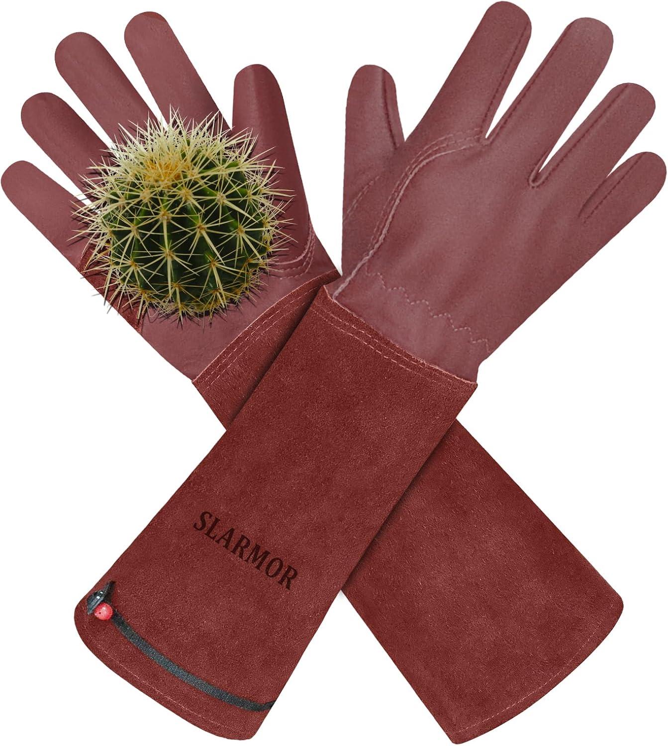 Thorn-Proof Gauntlets Showdown: Who Wins in Rose Care?