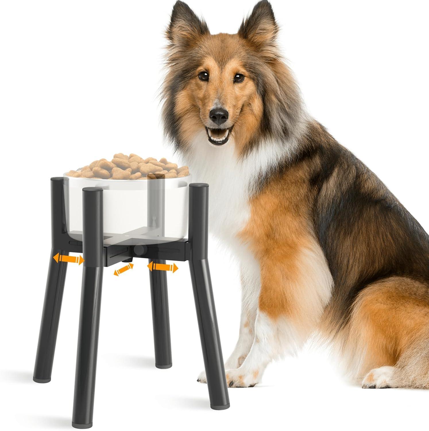 Elevated Dog Bowls vs. Stylish Kitchen Towels: A Surprising Match