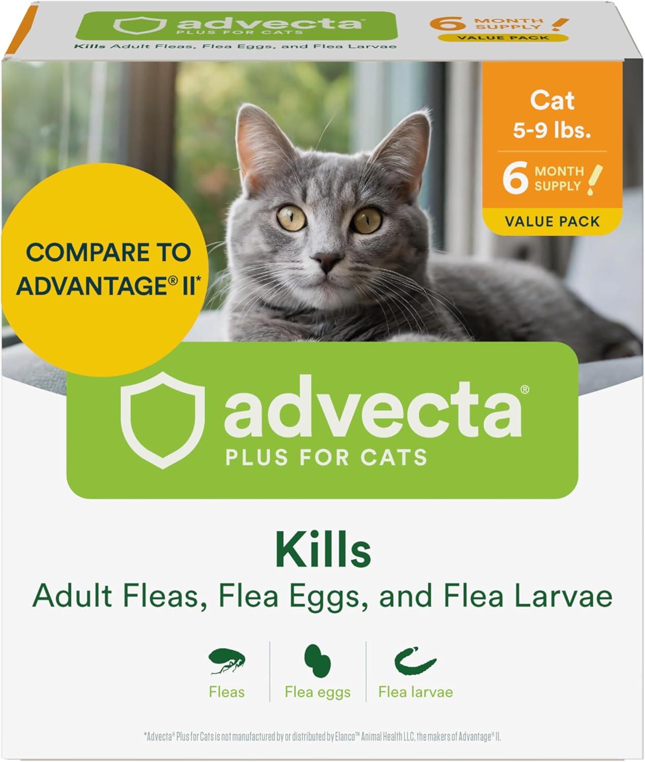 Plus Flea Prevention vs. Traditional Treatments: What Works?