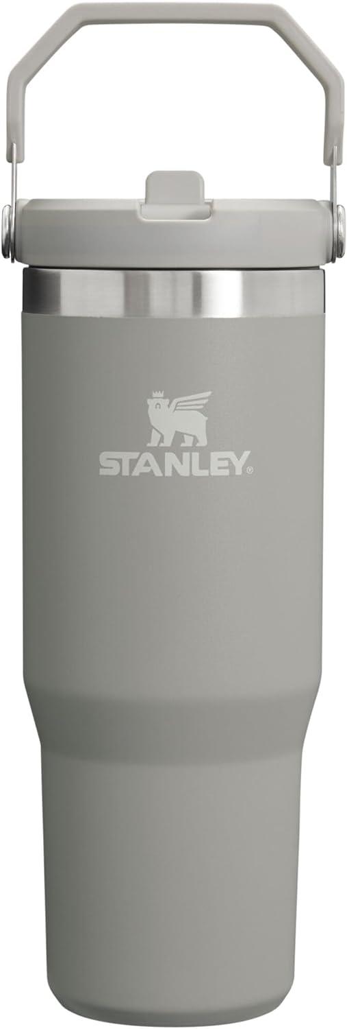 Stanley Tumbler Showdown: Iced for Days or Just 12 Hours?