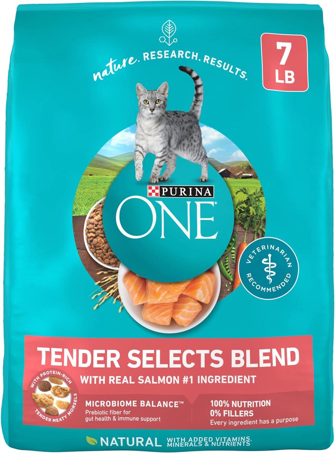 Purina ONE Cat Food Showdown: Salmon Flavor That Delivers