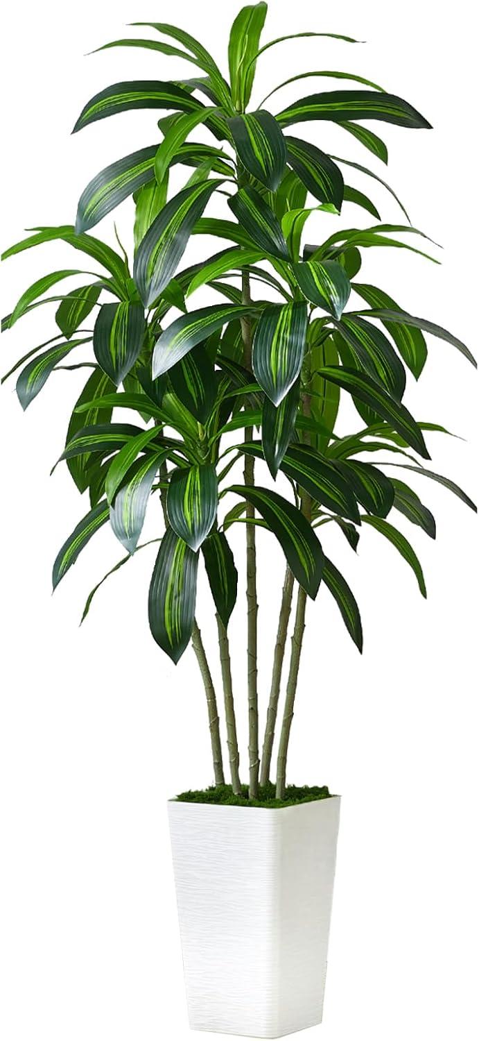 Faux Trees Showdown: Why the Dracaena Outshines Yucca