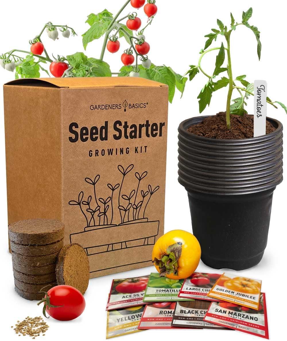 Home Gardening Showdown: 8 Tomato Varieties or Just 1?