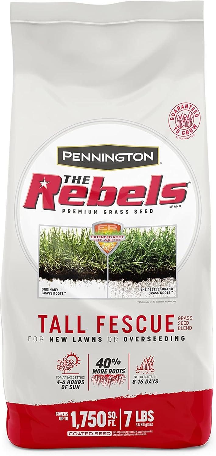 Pennington Fescue Grass Seeds: Surprising Results This Summer