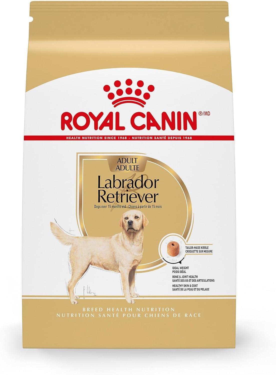 Labrador Diet Showdown: Nutrition That Surprises & Delights