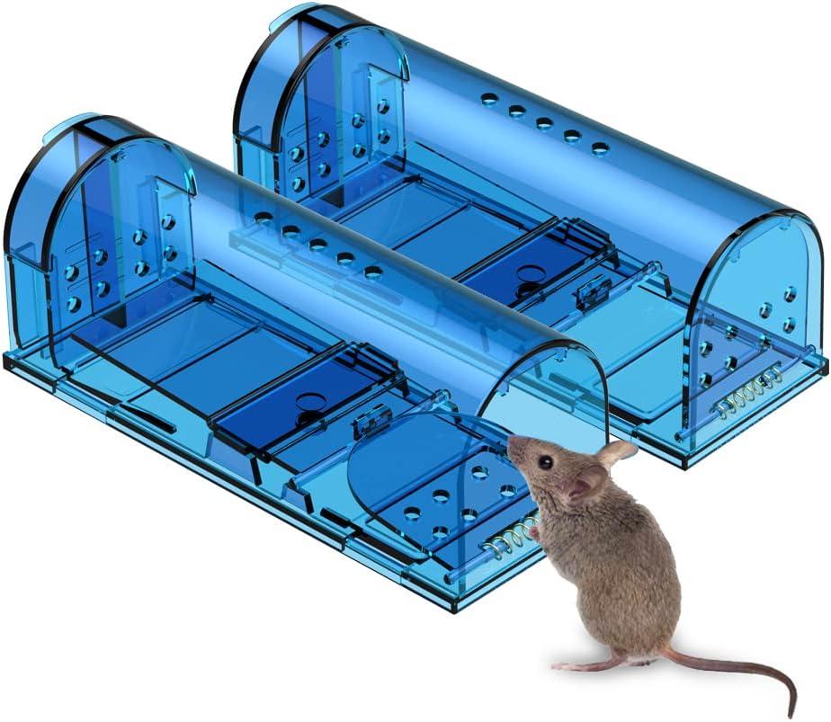 Mouse Trap Showdown: Humane vs. Sticky for Pet Owners