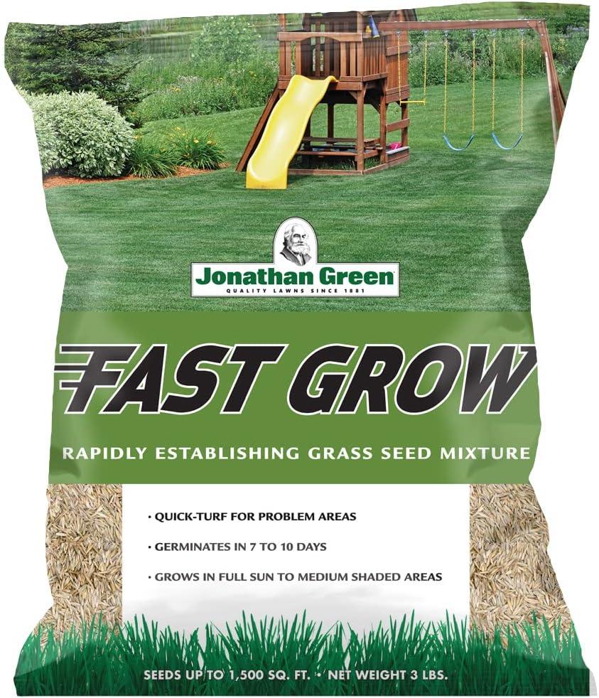Fast Grow Grass Seed: A Surprising Cool Season Showdown