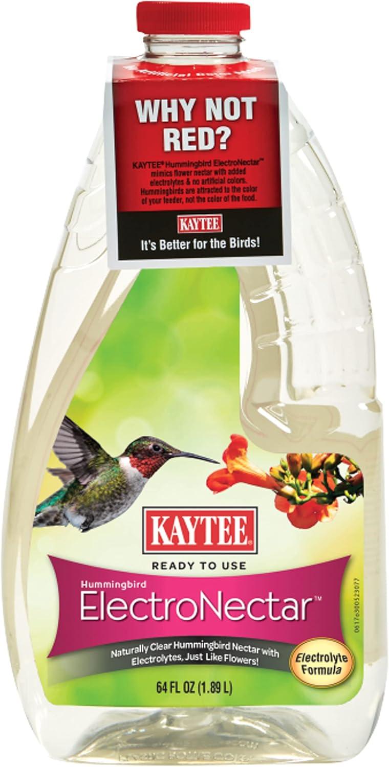Which Hummingbird Feeder Design Attracts More Birds? Insights!