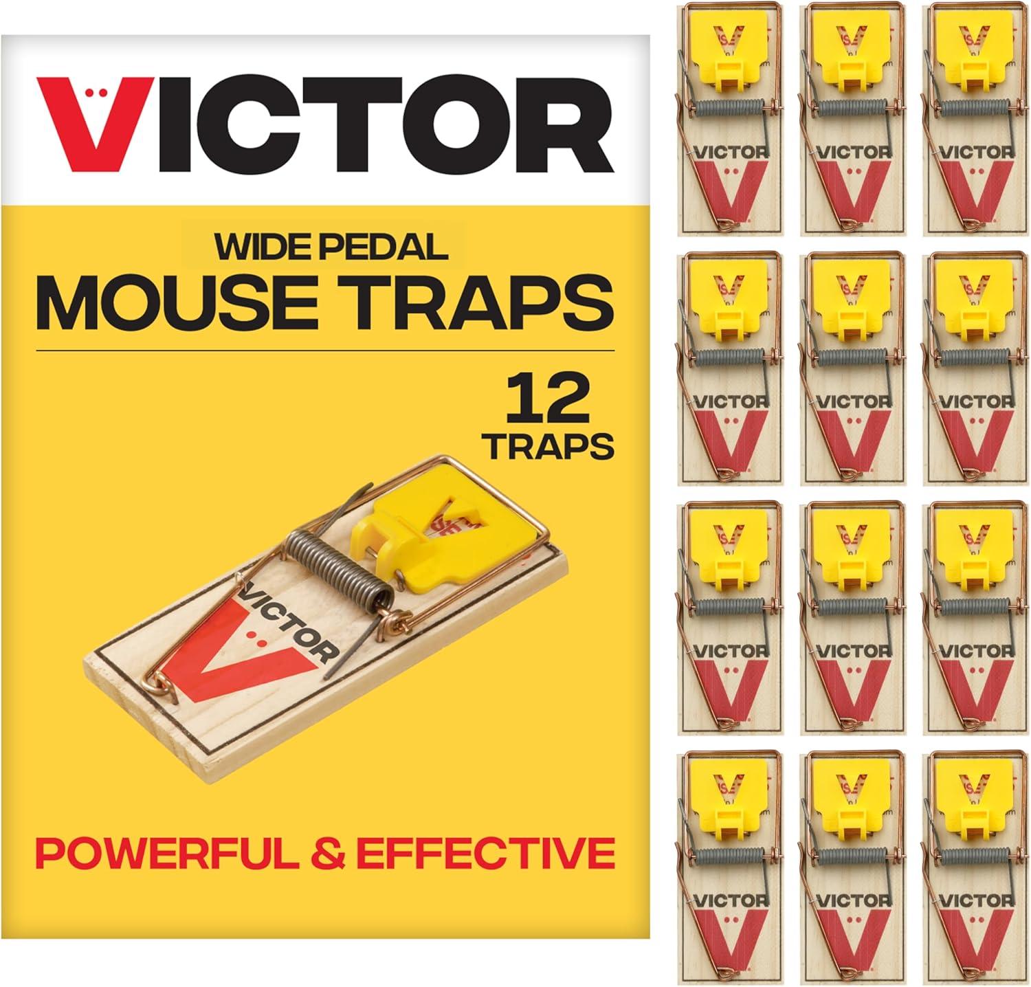 Wooden vs. Plastic Mouse Traps: Surprising Efficacy Showdown