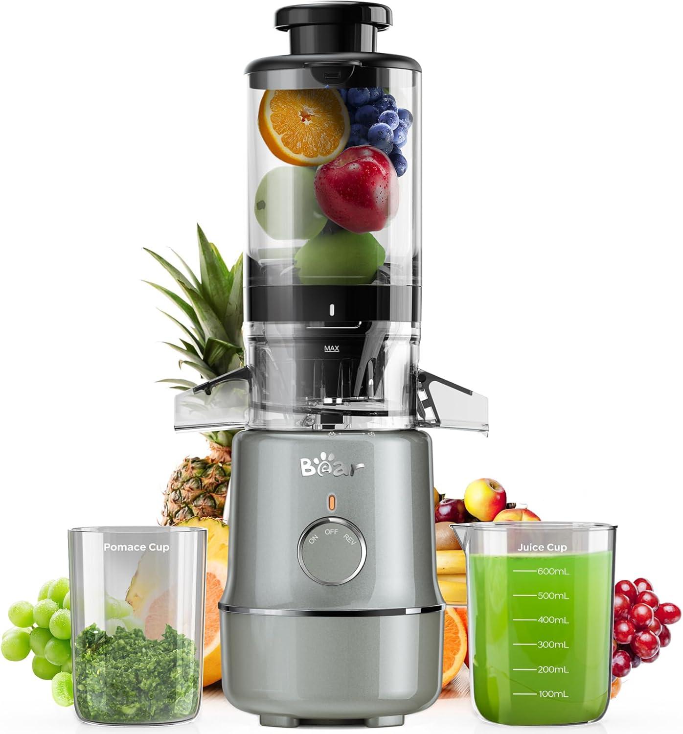 Slow Cold Press Juicer Showdown: Whole Fruits vs. Veggies
