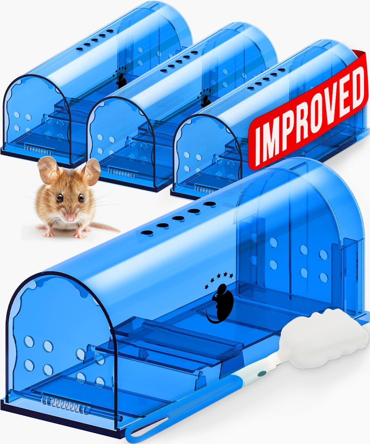 Humane Mouse Traps Showdown: Innovation vs. Tradition