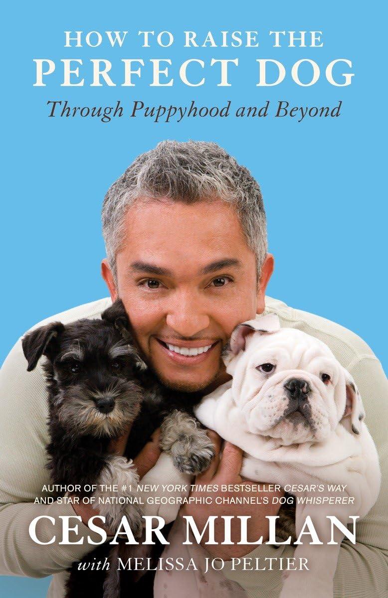 How Training Techniques Shape Your Dog's Growth Journey