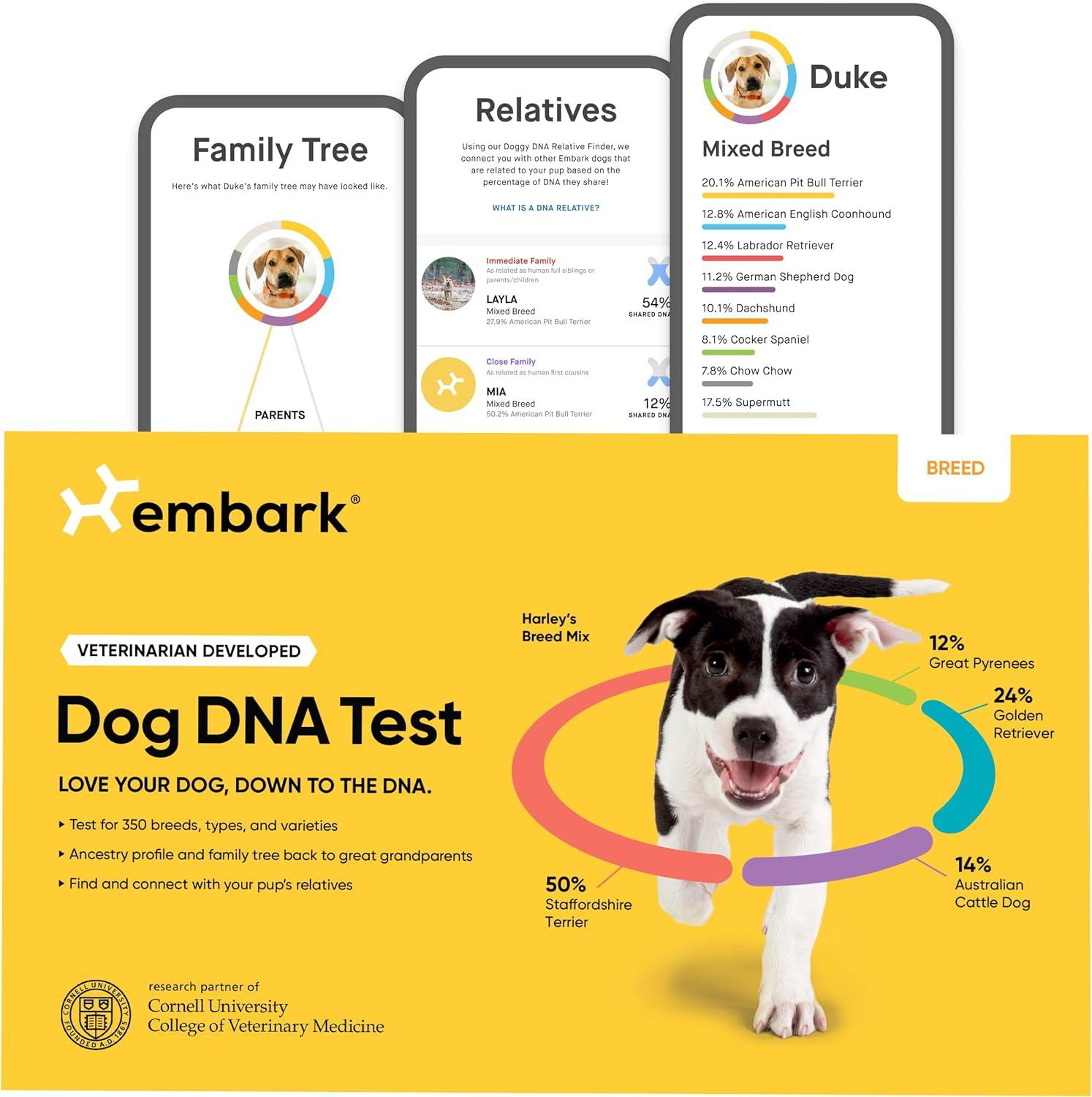 DNA-tested versus Mixed Breed: Shocking Insight Revealed