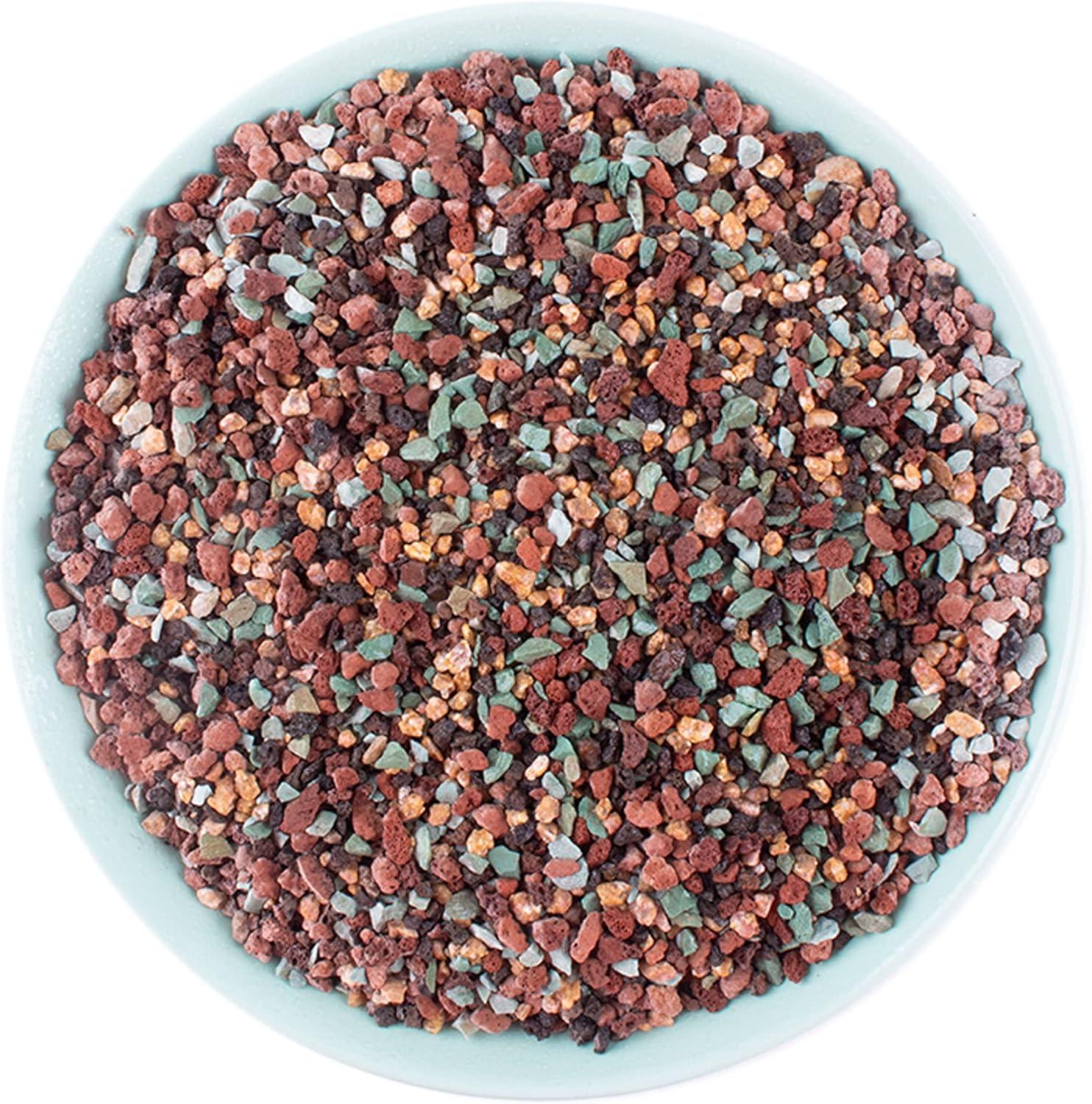 Mix vs Pebbles: Tested lava rocks for plants... surprising bonsai benefits!