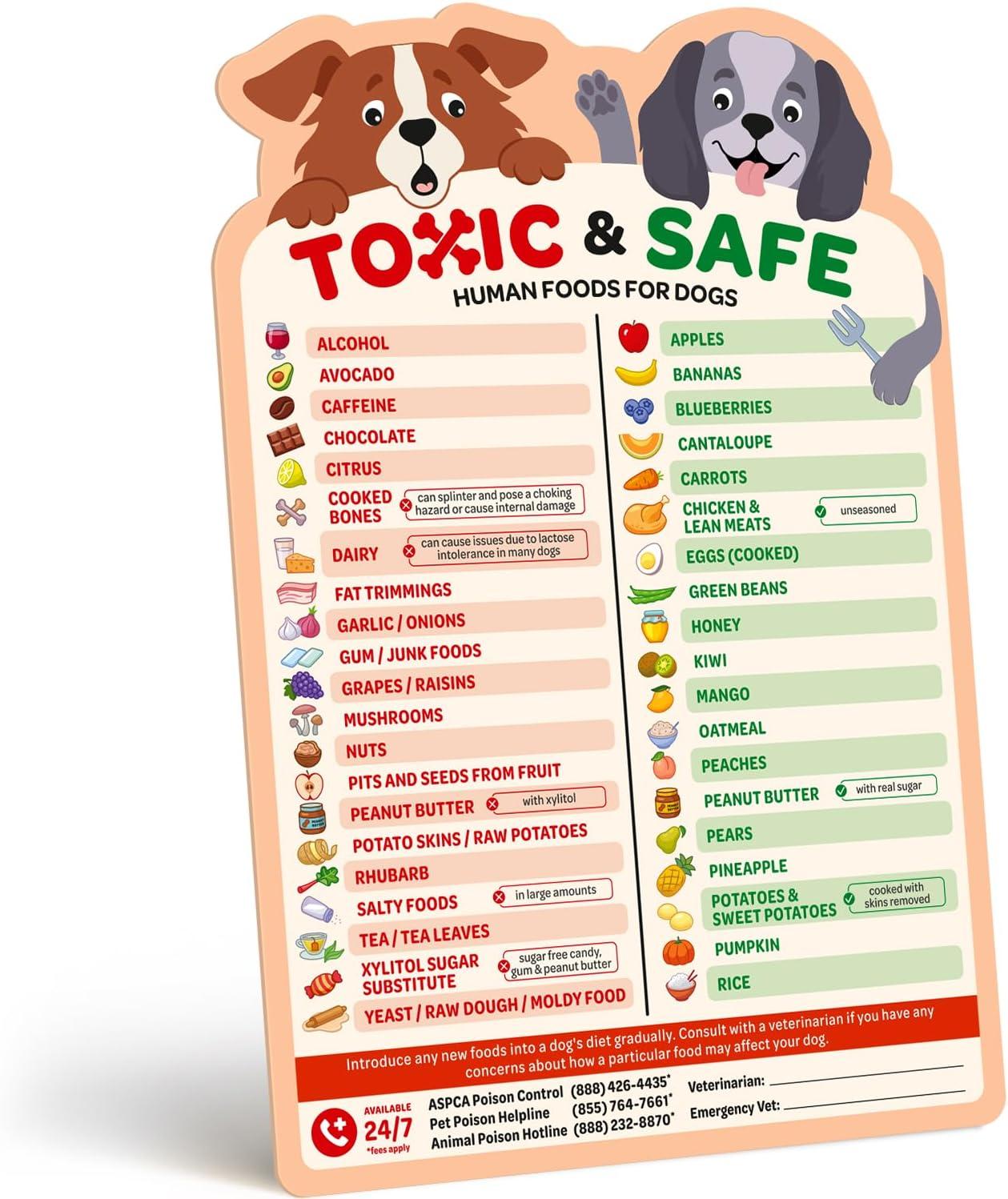 Portion-tested food chart… Decorative magnets showdown for pet safety essentials!