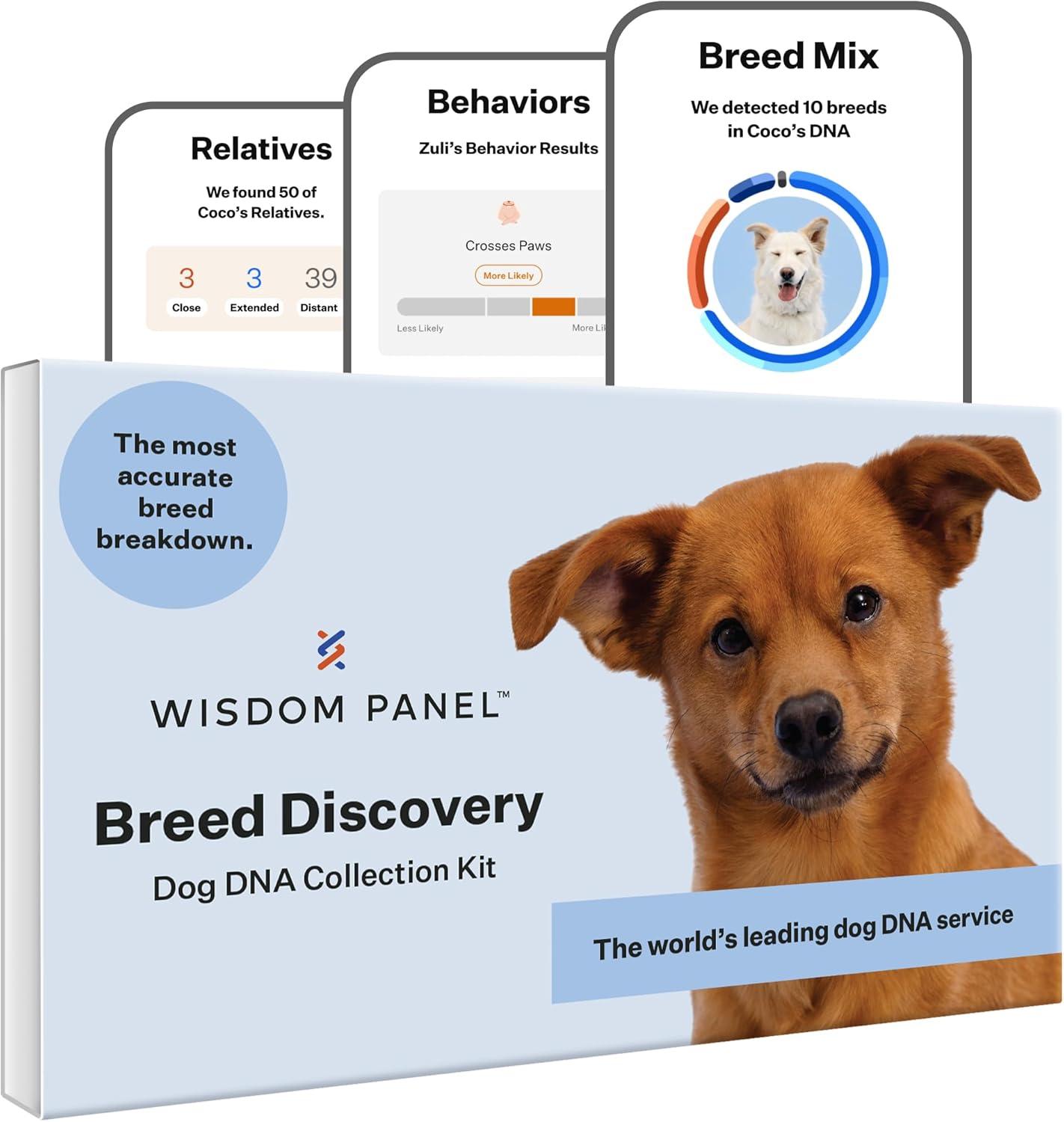 Embark Versus Wisdom Panel: Tested, Surprising Breed Insights