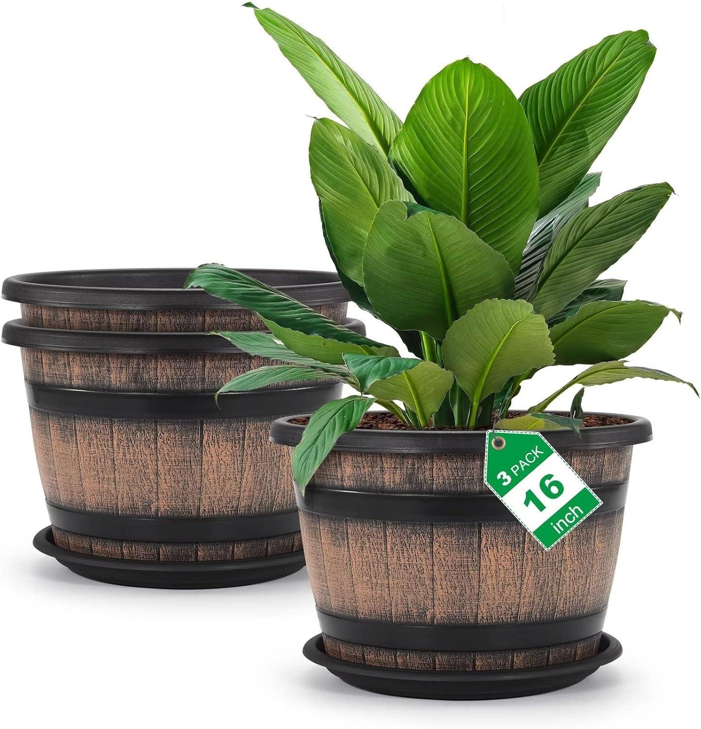 Stunning Wine Barrel Pots Tested Versus Balcony delights buyers