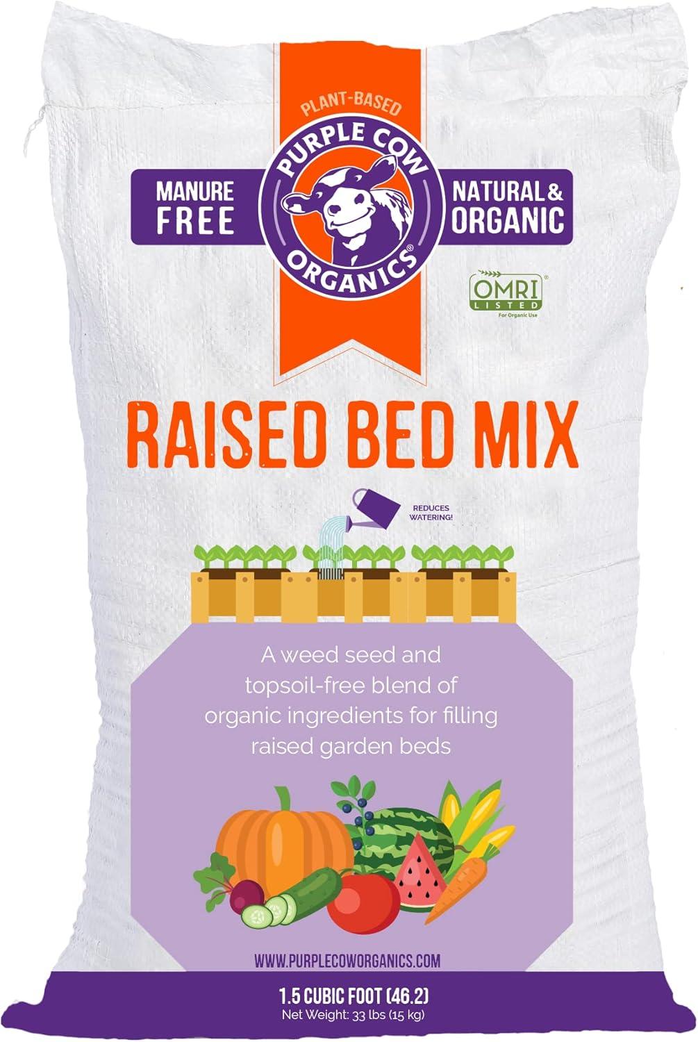 Three Raised Beds Compared: Surprising Insights for Your Garden
