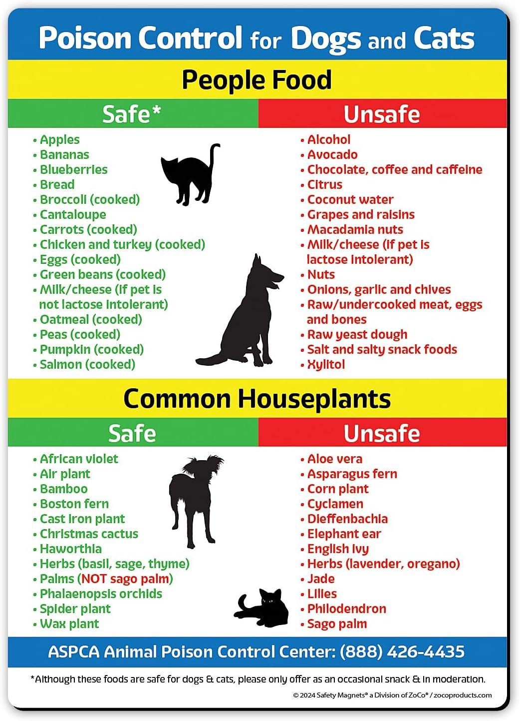 Safe vs Toxic Food: Pet fridge guide, tested—clear, neat!