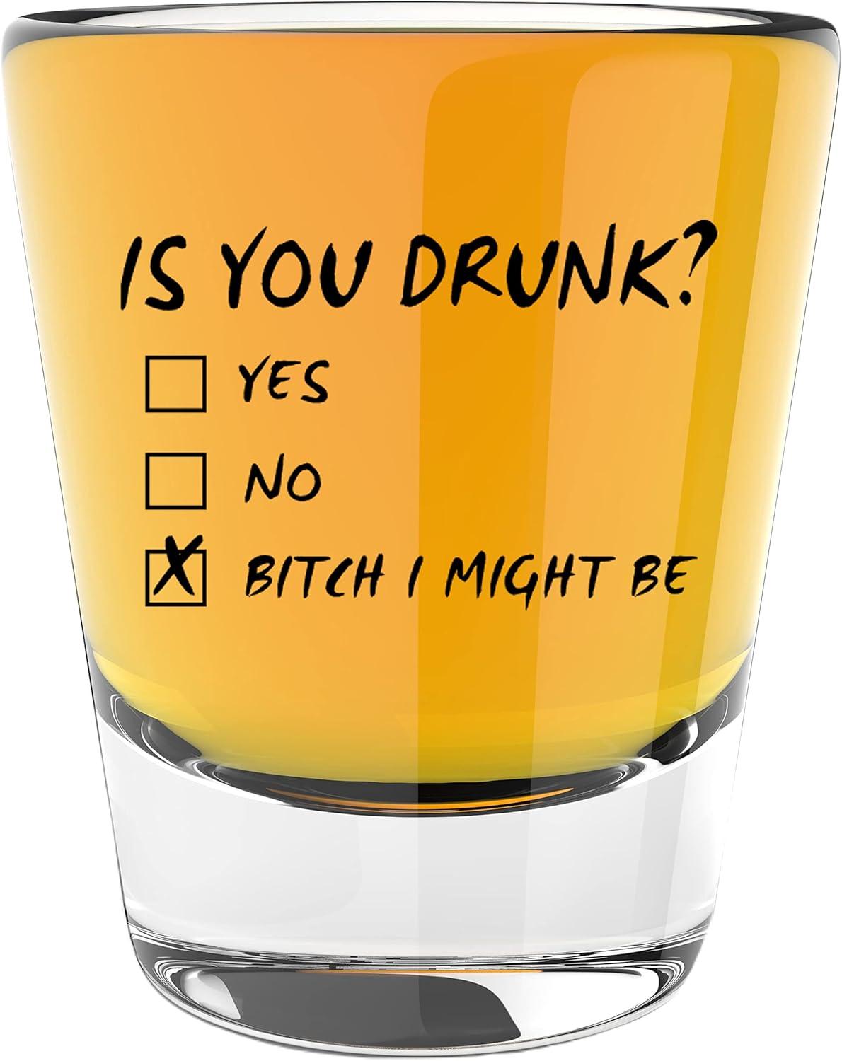 LitGifts Vs. Compared: Funny Shot Glasses Tested For Your Sip. In Usa... Perfect Gift!