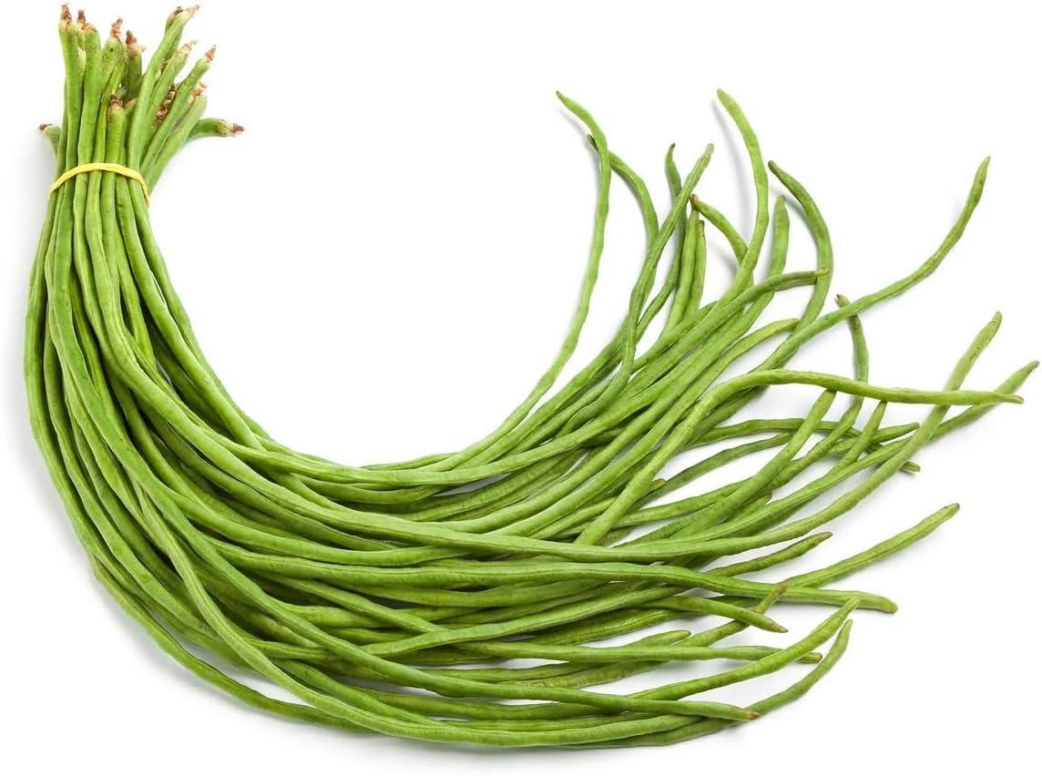 30+ Yard Long Bean Seeds – Tested vs. Asian String Bean Benefits