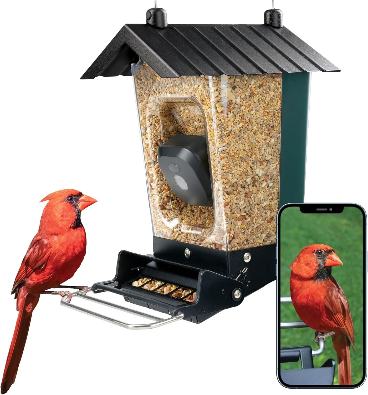 Perky-Pet Wi-Fi Camera Feeder Showdown: Squirrel-Resistant, Tested… spying on backyard avians!