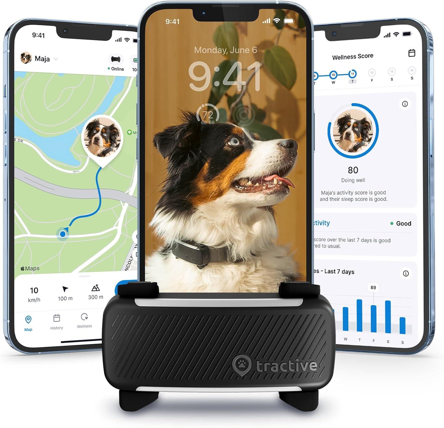 Tractive GPS Dog Tracker Showdown: Real-time Health alerts, tested!