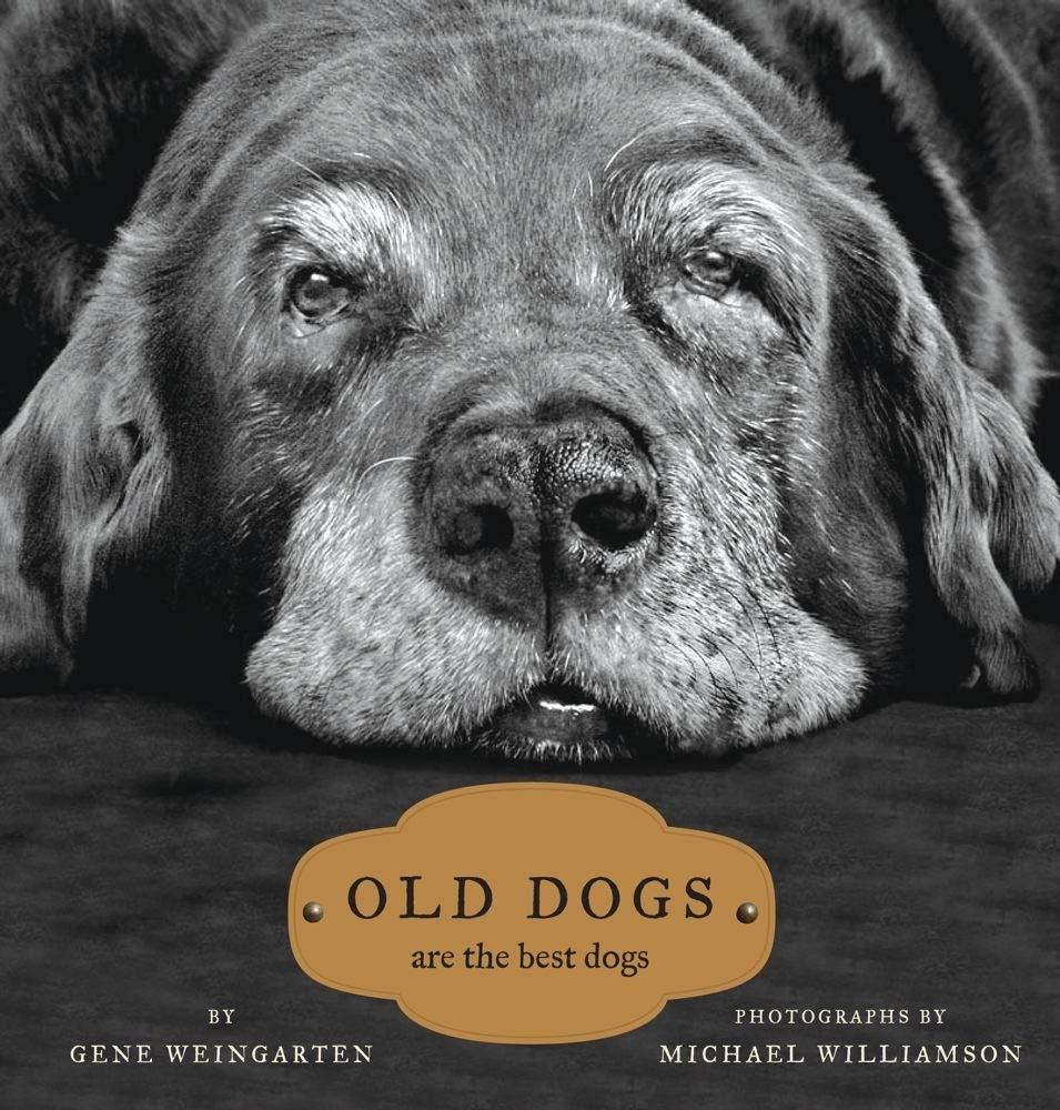 Versus Old Dogs: Surprising Benefits, Best Use Compared