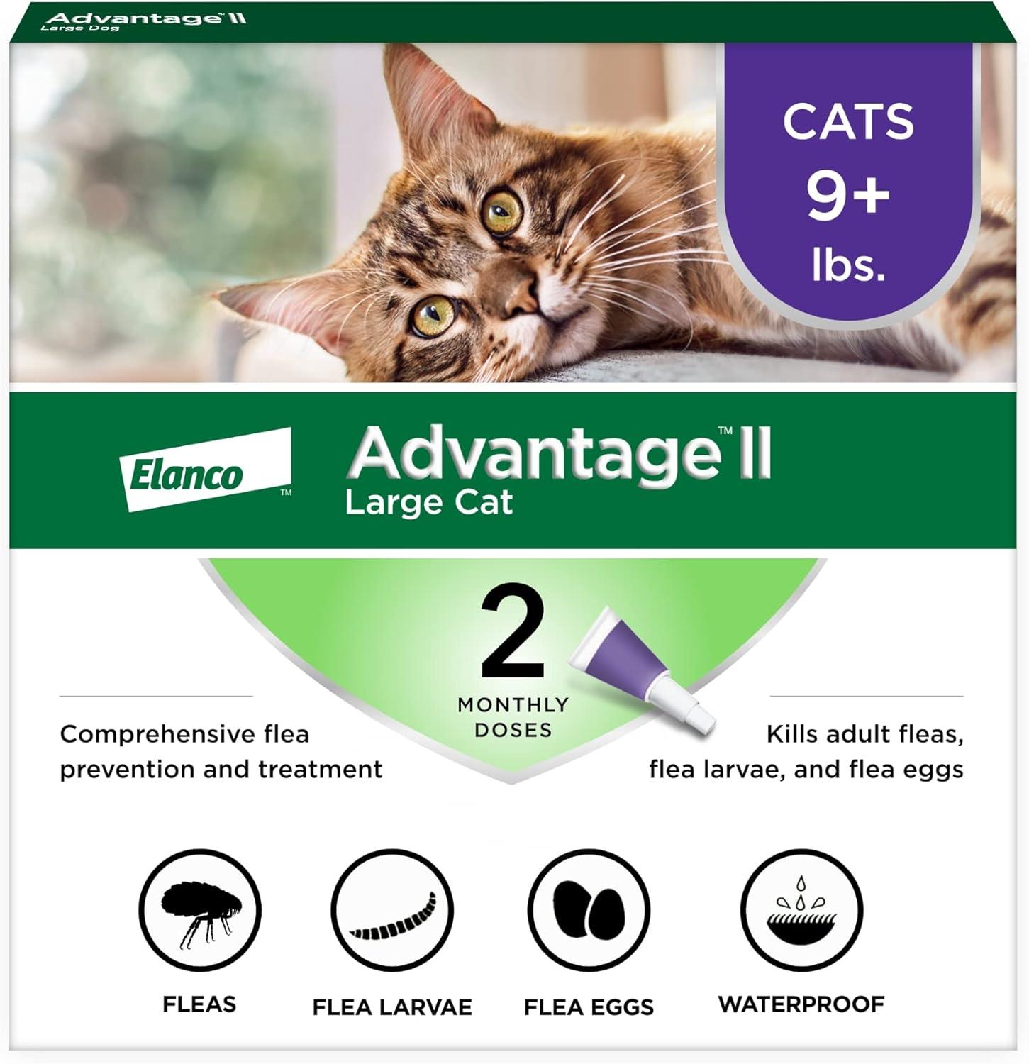 Advantage II vs. Heartgard: Vet-Tested Choice for Big Cats... Big Protection!