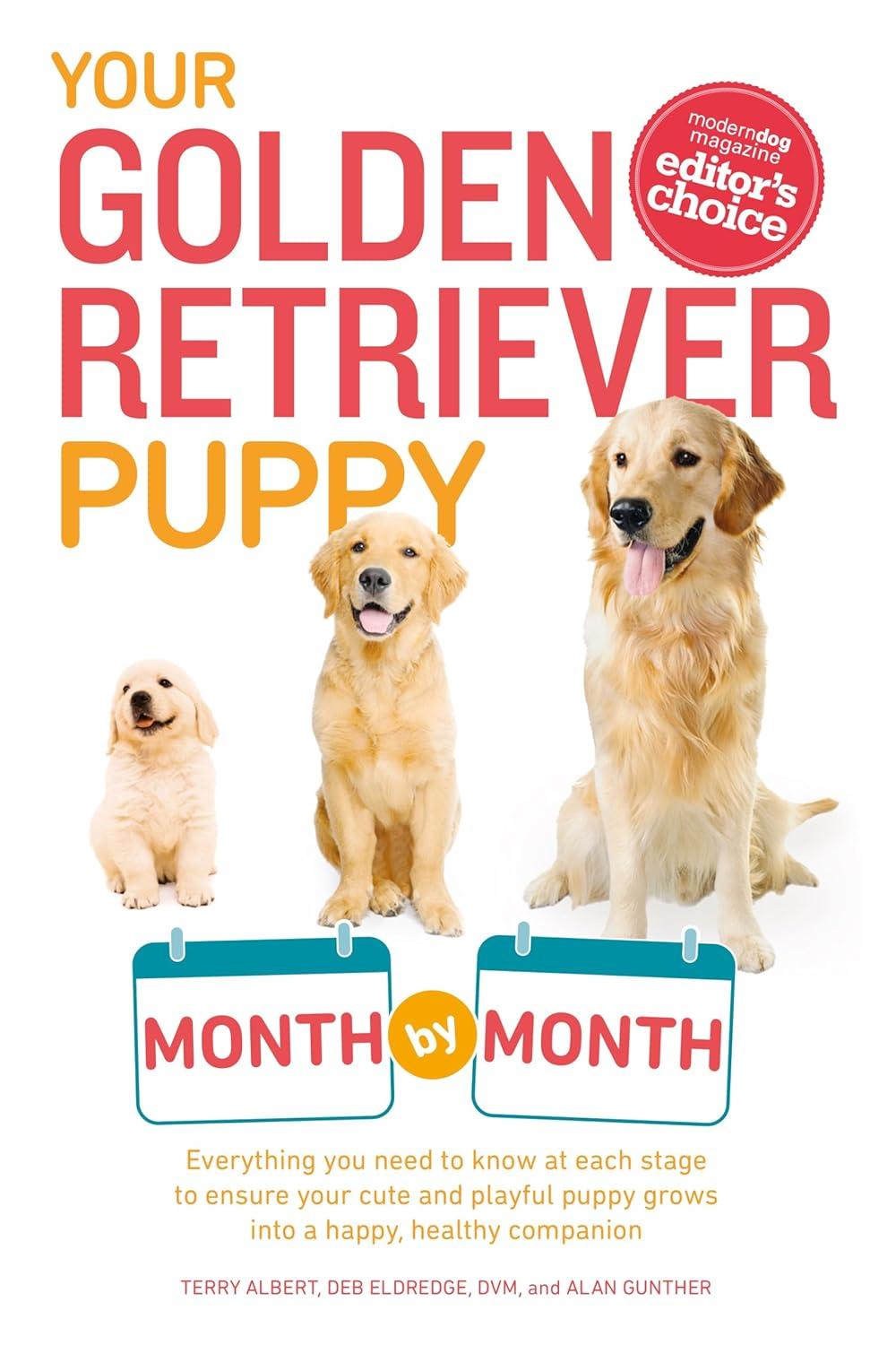 Breed Showdown: Tested Insights for Dog Lovers