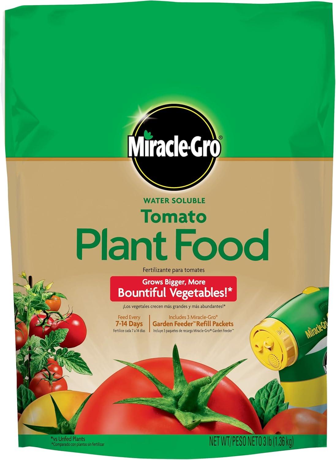 Why Miracle-Gro Wins: Tested Tomato Food Versus Local Yield...Surprising Fact