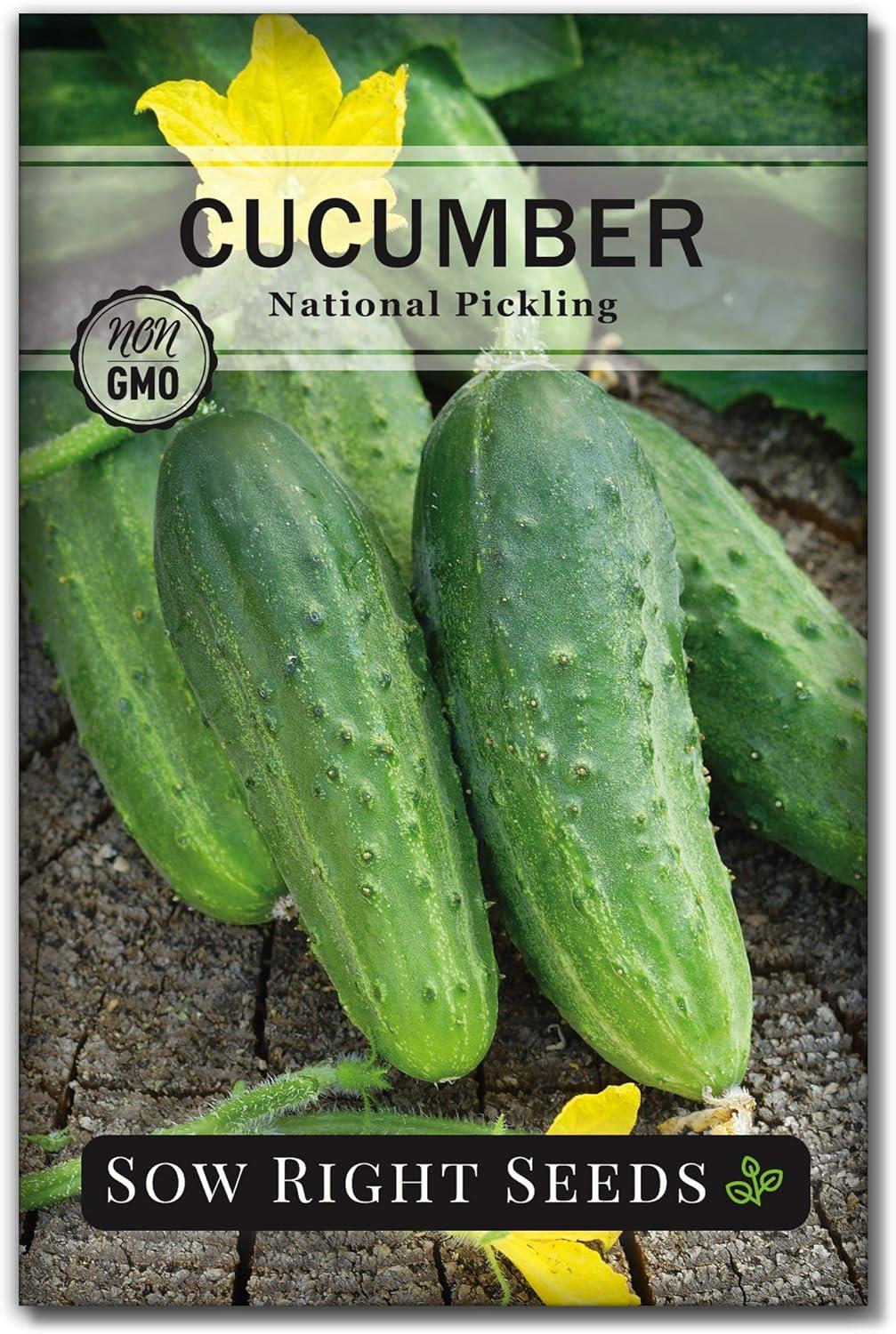 Heirloom Pickles Versus Non-GMO… Tested Seed Benefit！