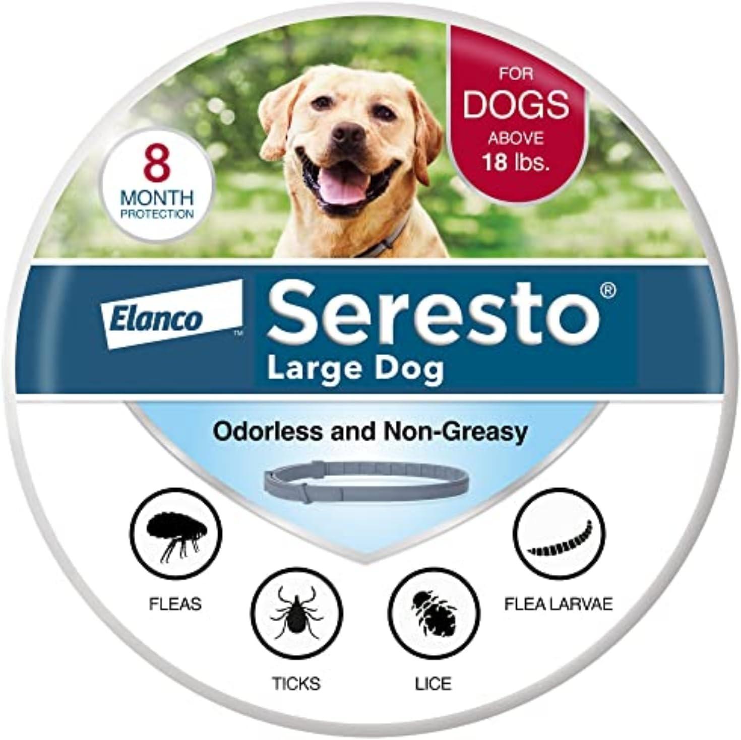 Flea vs Tick Showdown: Vet-Approved Choices…Surprising Insights!