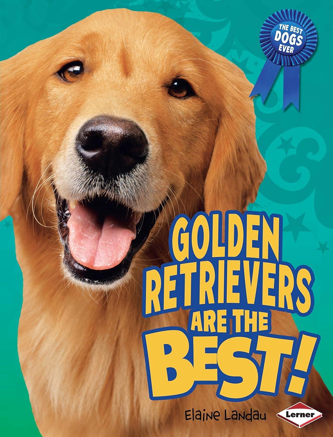 Golden Retriever perks: Surprising insight from buyers... vs all dogs, fetch included