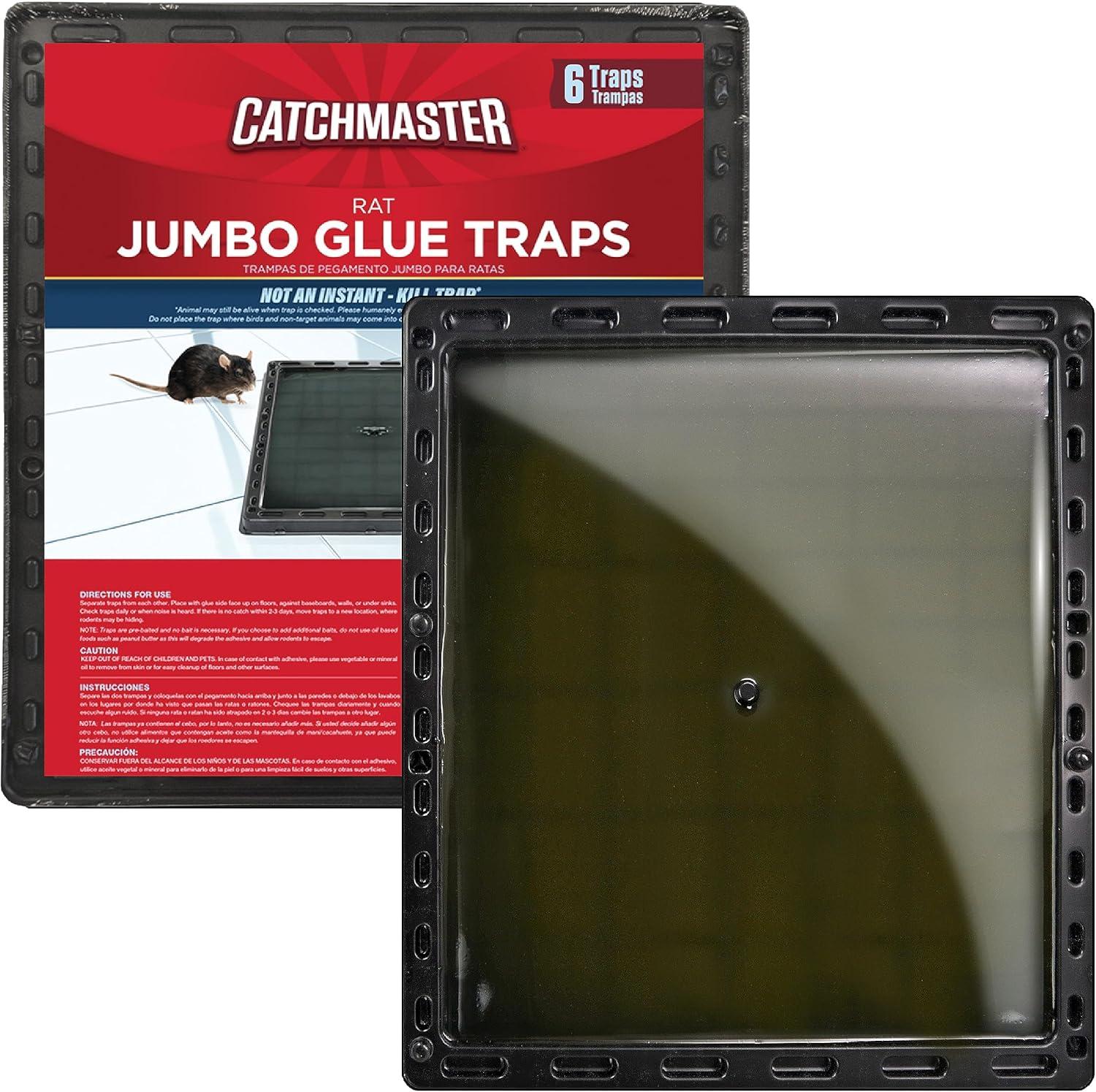 Glue Traps Showdown: Shocking Rat Catching Power Tested