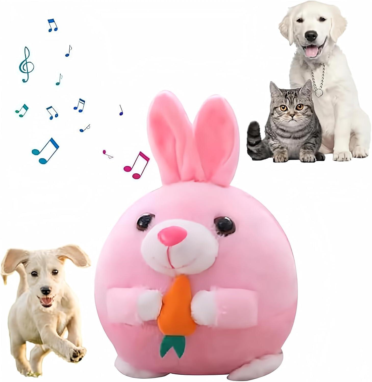 Discover Surprising Insights in Choosing Pet Essentials…