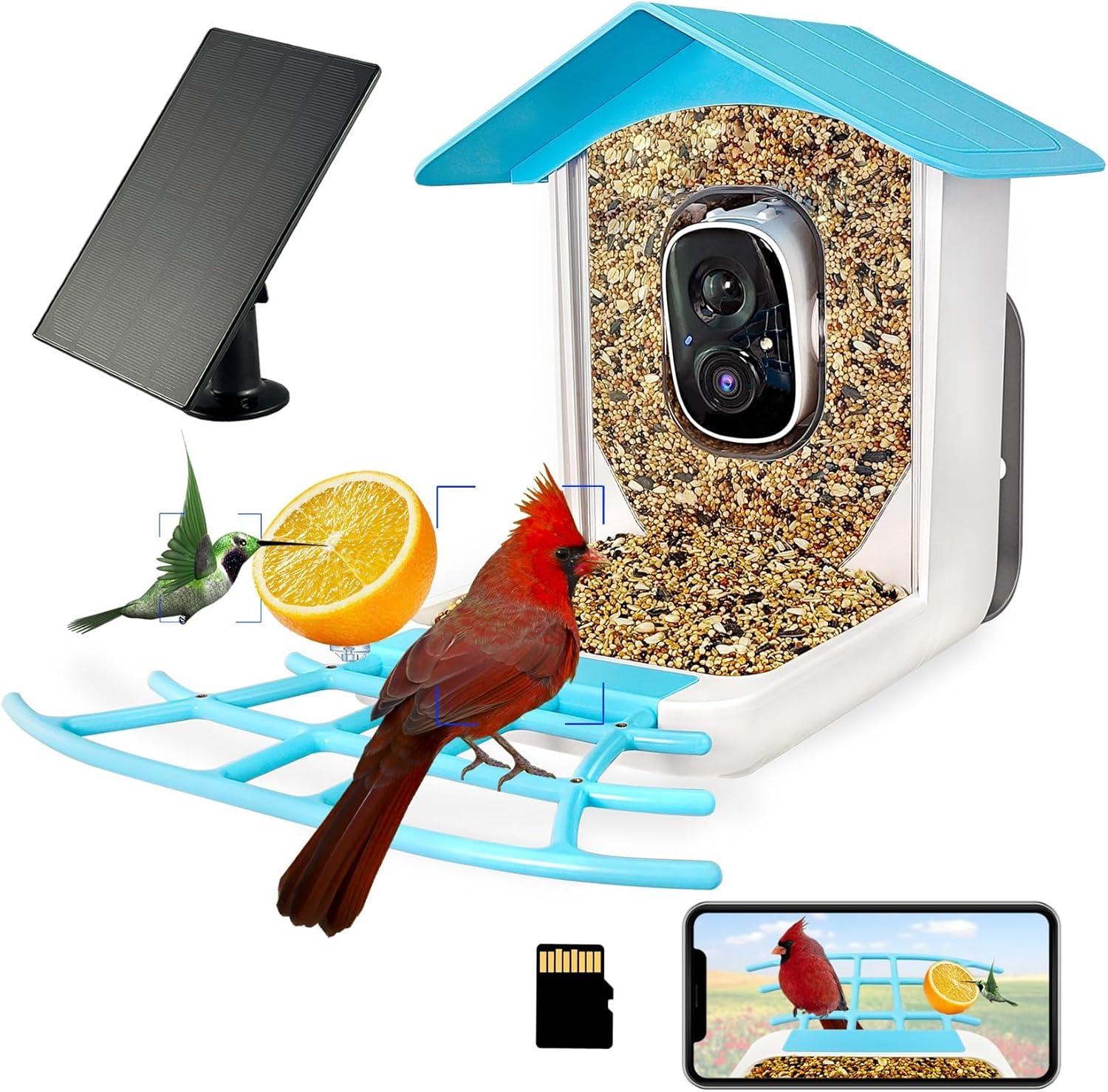 Ai Birdcam: Surprising Power For Nature Enthusiasts... Try Now
