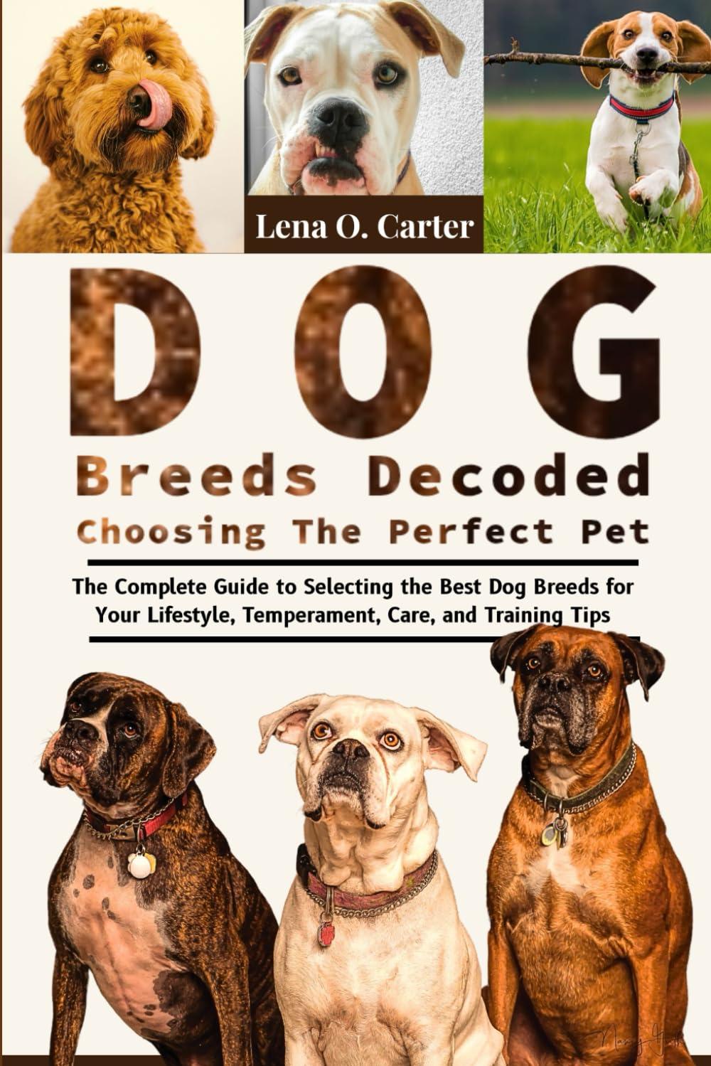Dog Breeds Versus Lifestyle: Surprising Match Scores… Perfect Pet Case!