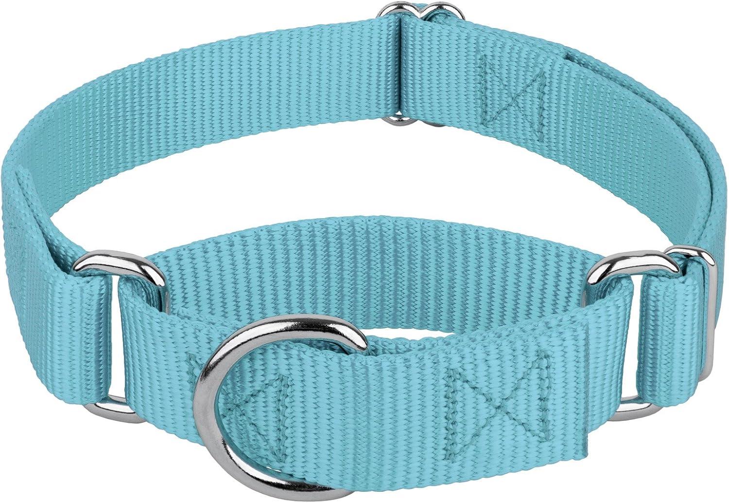 Comparing Dog Collars: Tested Benefits Beyond Basics