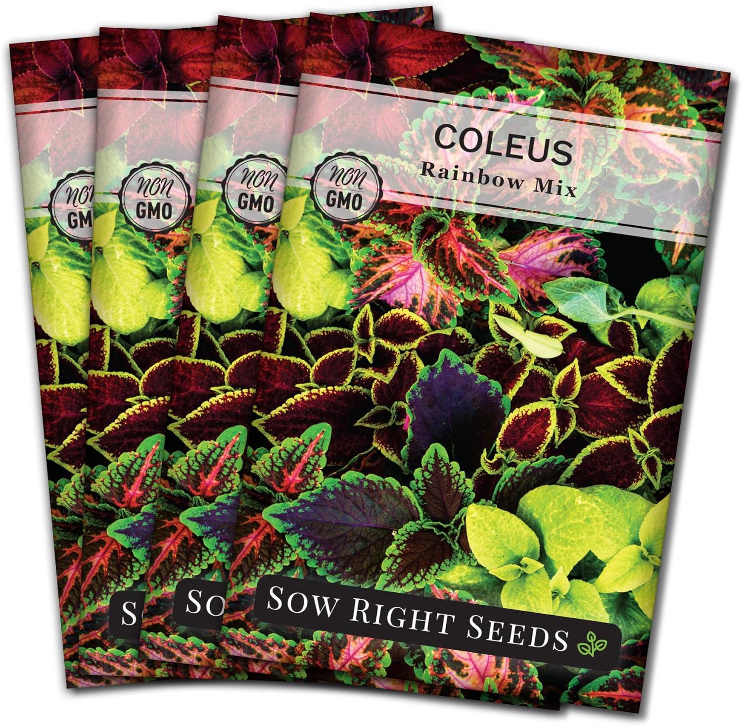 Plants Versus Flowers: A Showdown for Home Air Quality...Tested!